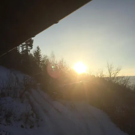 Alpaca-village * 라우터바흐