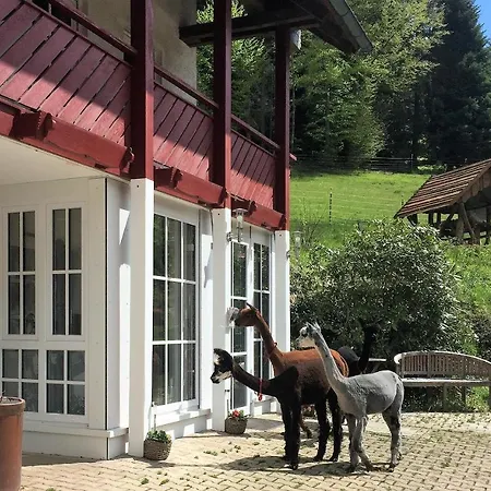 Apartment Alpaca-village *