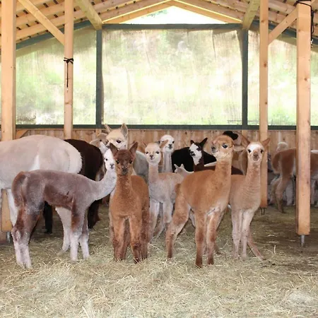 شقة Alpaca-village *