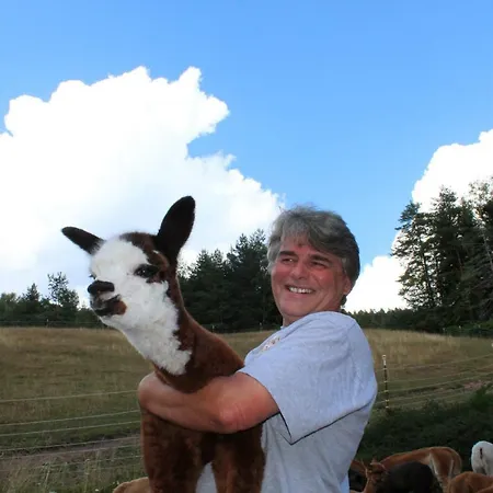 Alpaca-village
