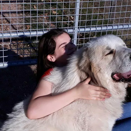 Alpaca-village * لاوترباخ