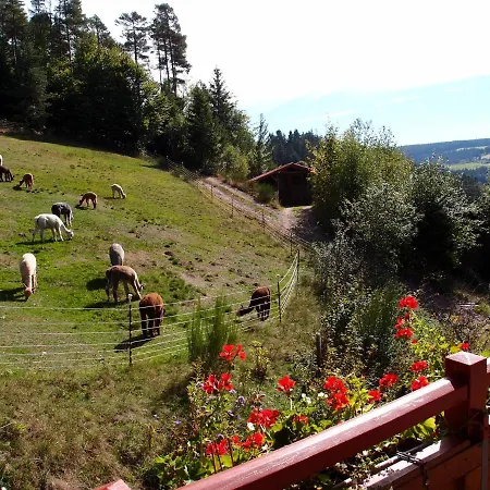Apartment Alpaca-village *