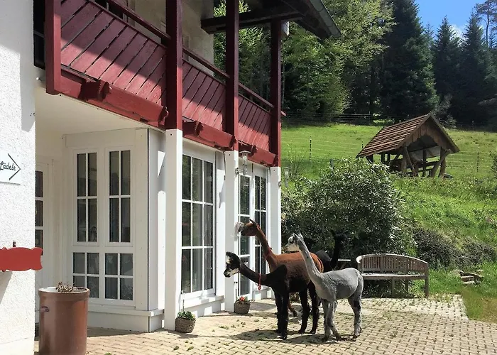 Appartement Alpaca-village *